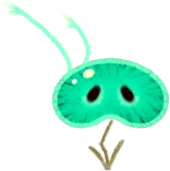Bean
